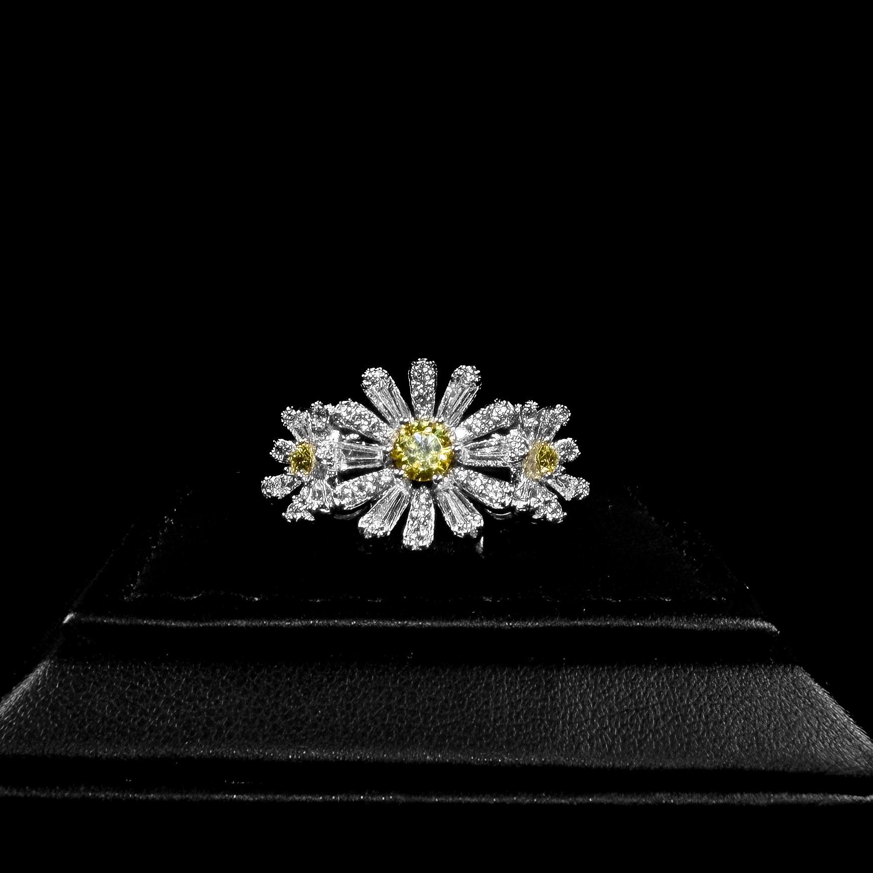 Sunlit Daisy White & Yellow 925 Silver Full Set