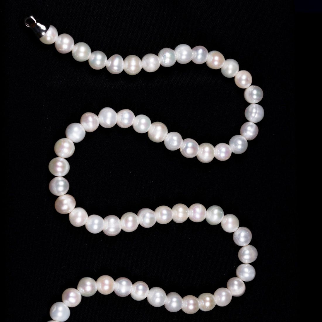 Dolce Mondo Classic Round Freshwater Pearl Necklace